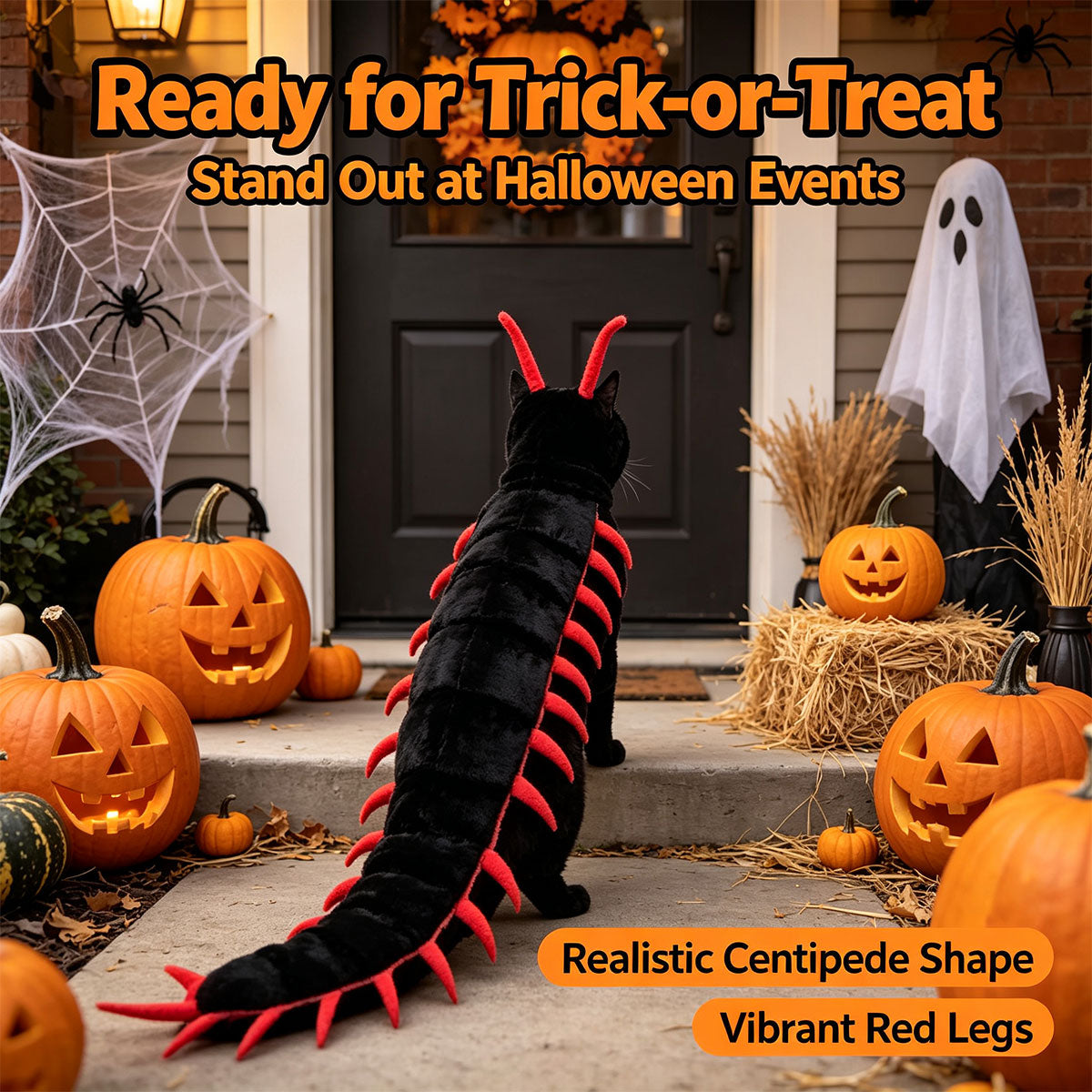 Halloween Cat Costume, Centipede Style Cat Outfit
