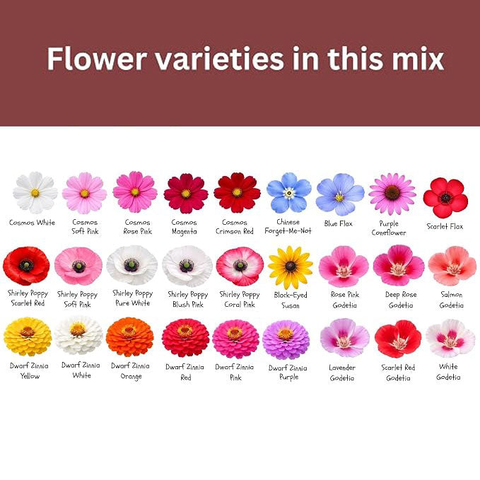 Double-petaled sunflower seeds mixed color pine leaf peony flowers